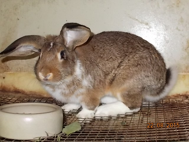 DSCN1235.JPG
