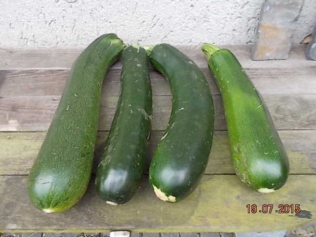 2015 Juli-001.JPG