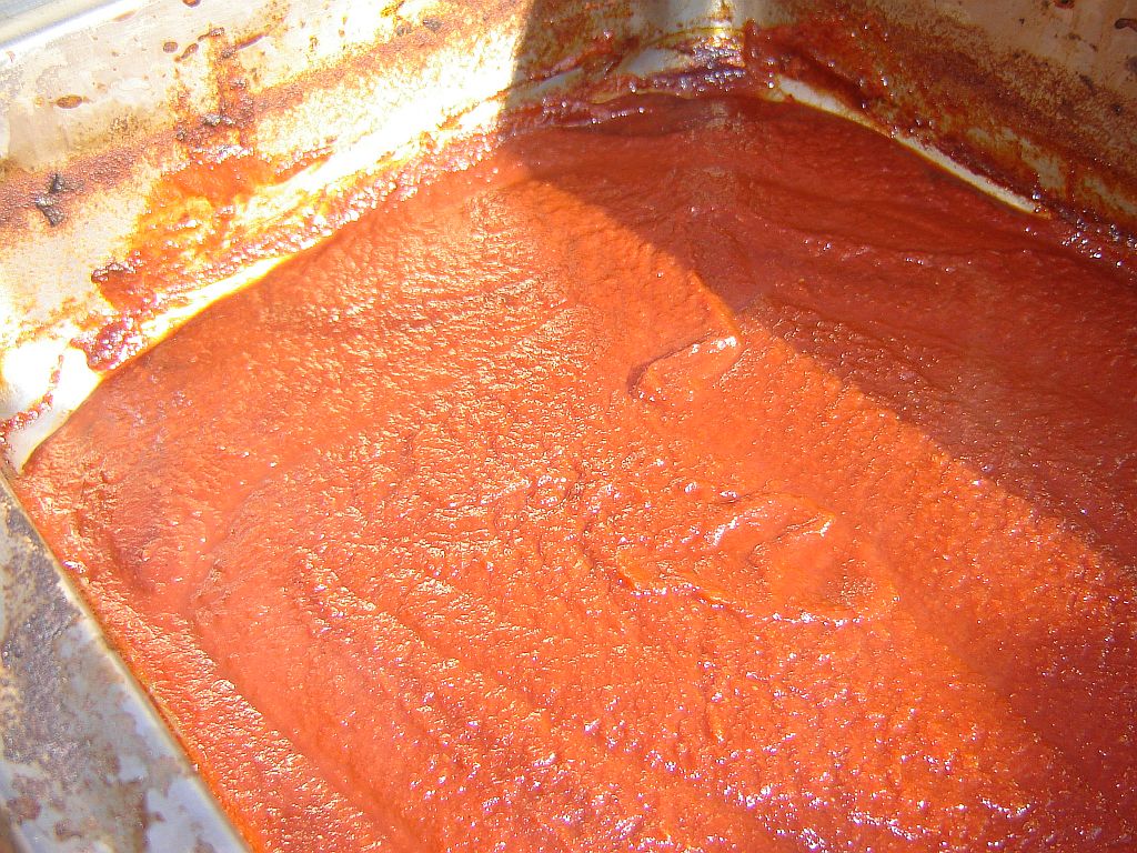 Restwärmenutzung-Tomatenmark08.jpg