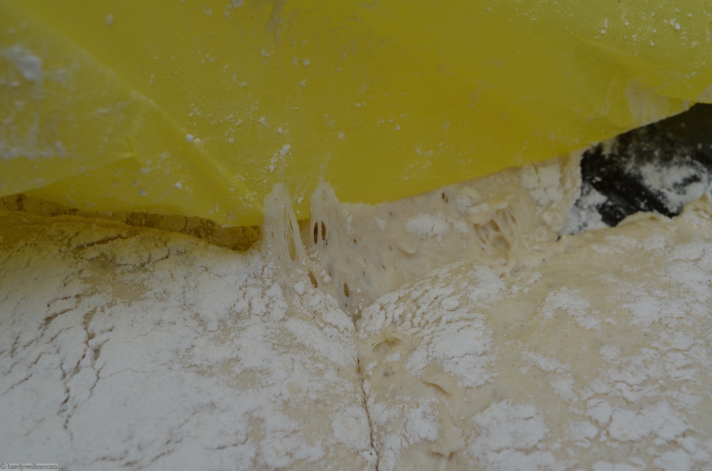 Pizzadisaster 5.jpg