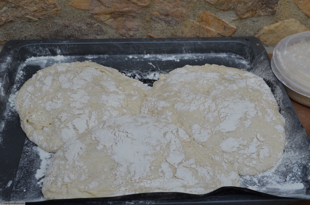 Pizzadisaster 2.jpg