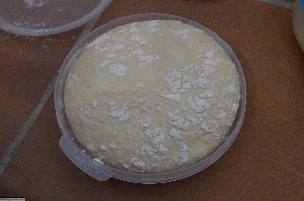 Pizzadisaster 3.jpg