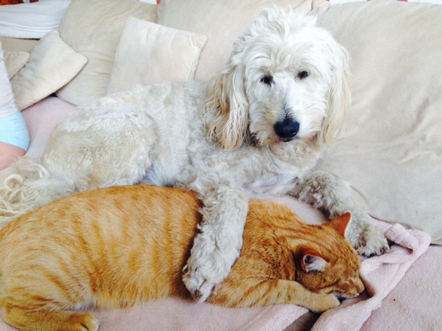 .....und heute beide! Kumpels ohne "Ende"