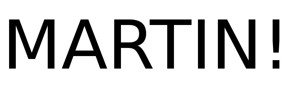 martin_laut.jpg
