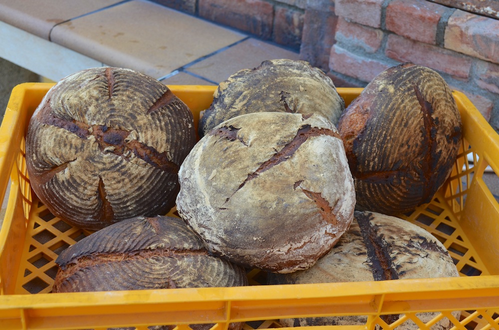 Backofen Testlauf 6.jpg