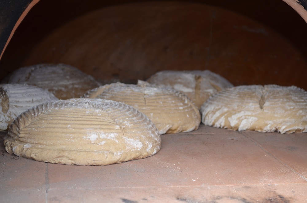 Backofen Testlauf 4.jpg