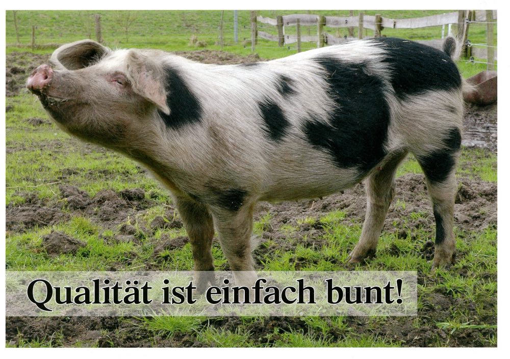 Buntes Bentheimer006.jpg