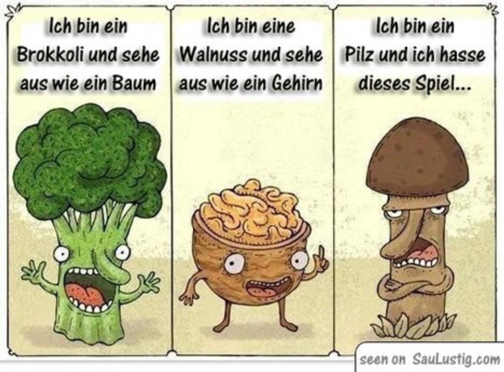 Ich hasse dieses Spiel.jpg