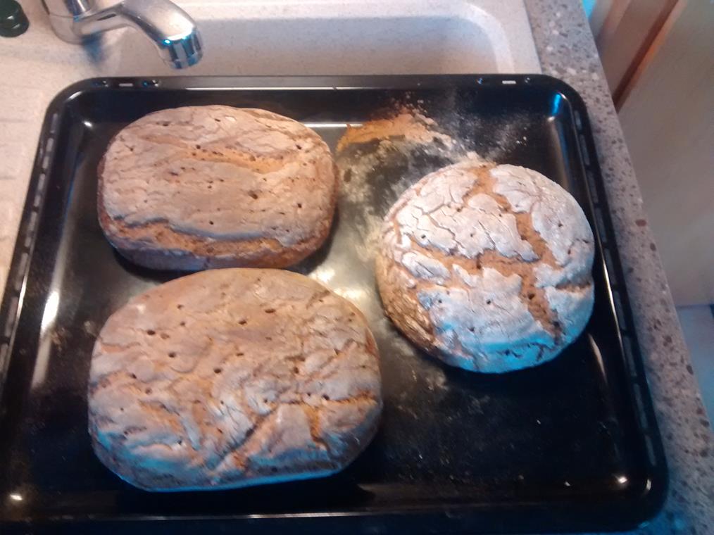 IMG_20151010_174316526 (Copy).jpg