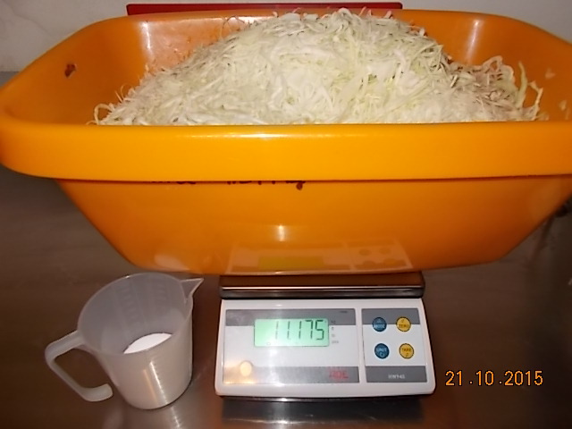 Aktion Sauerkraut 2015-002.JPG