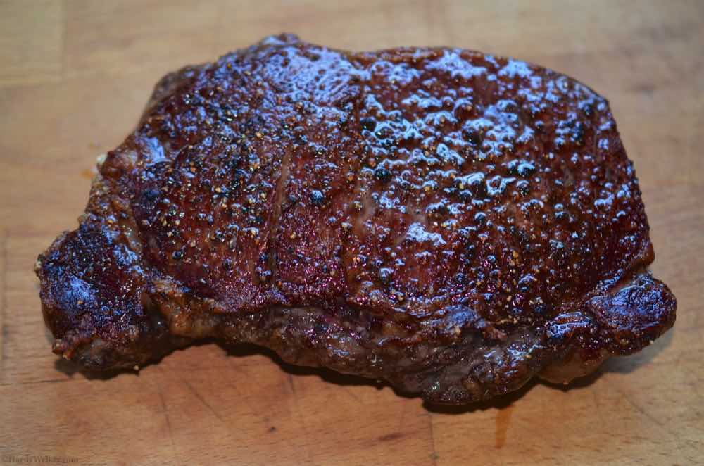Amerikanischer Bulle 4.jpg