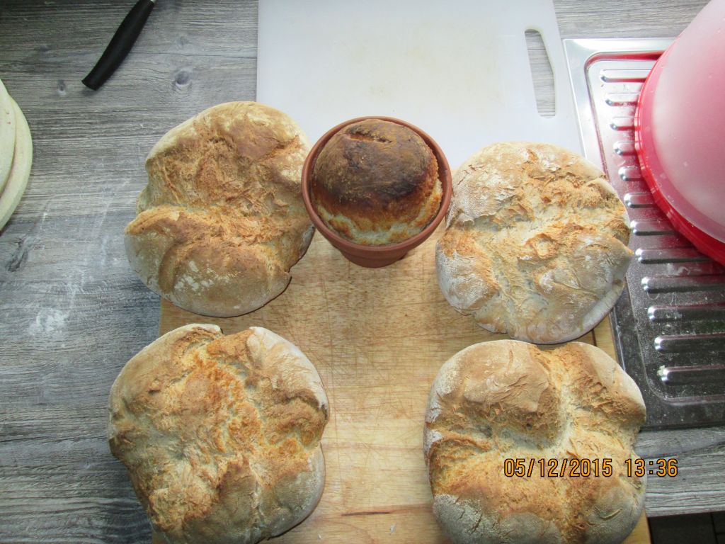 Brot Heute im Blumentopf.jpg