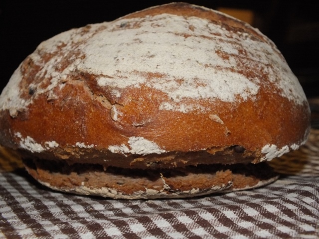 DSCF4399.JPG