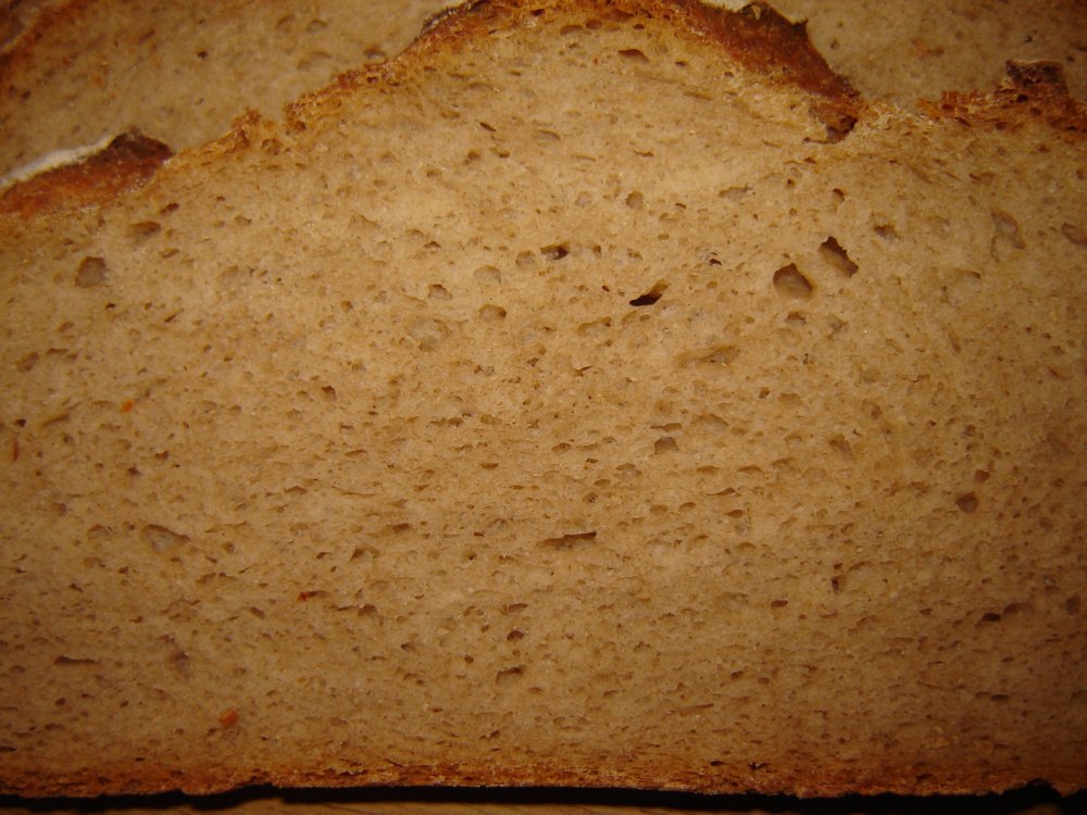 brot06.jpg