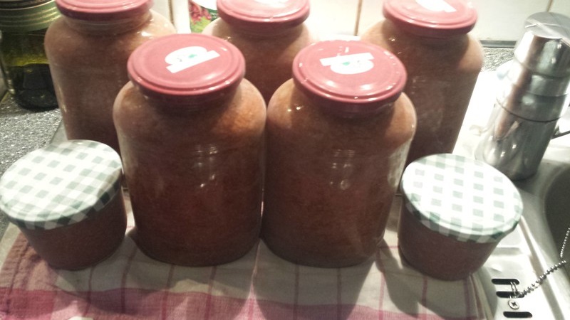 Bolognese eingekocht.jpg