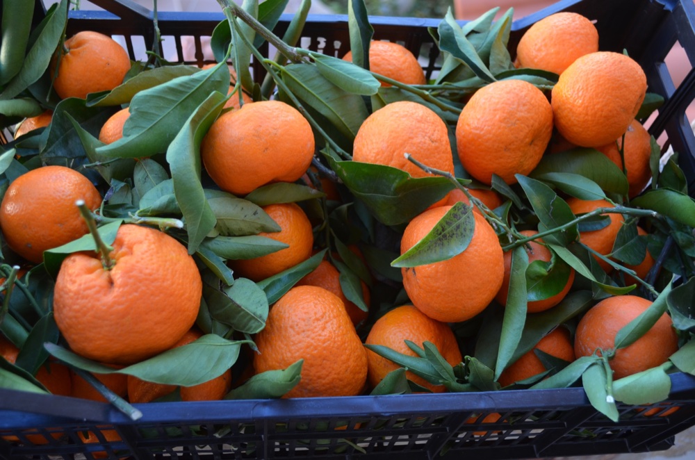 Mandarinen 1.jpg
