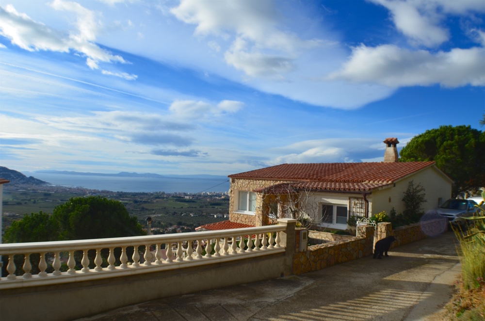 Zurück vom Gassi gehen. Arm voll Holz und etwas frischen Thymian in der Hose
