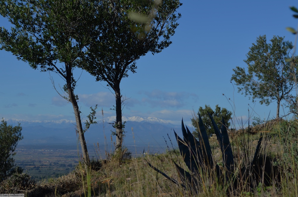 Hier beginnt mein Kräutergarten. Das ist 30m hinter meiner Casa, der Eingang ins Terrano Rustico