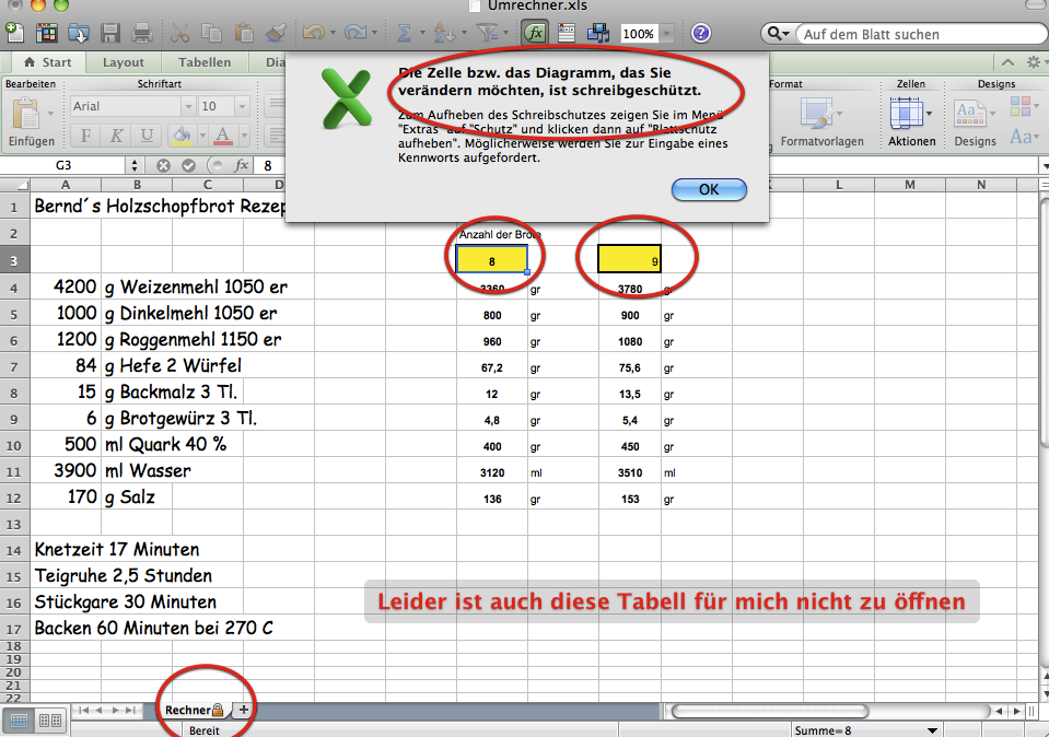 Microsoft Excel 2.png