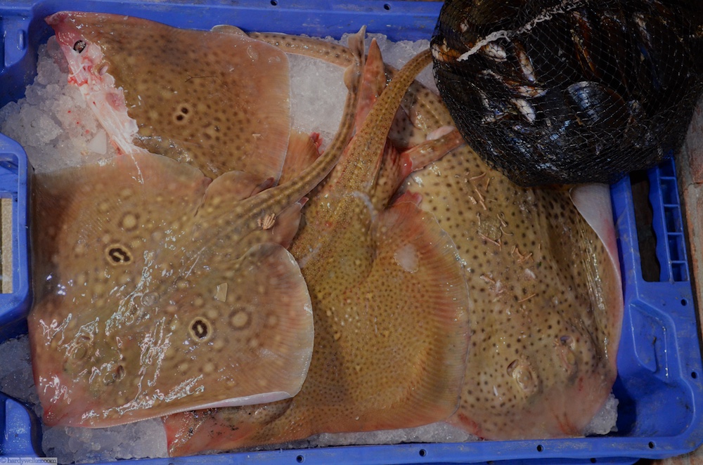 Fischmarkt Roses 9.jpg