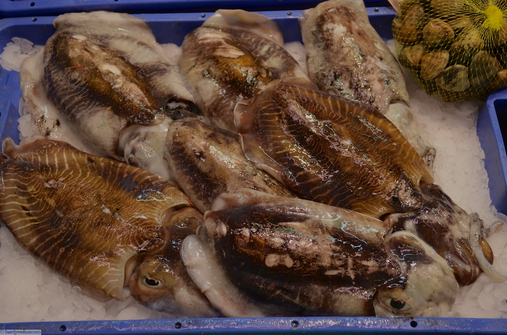 Fischmarkt Roses 6.jpg