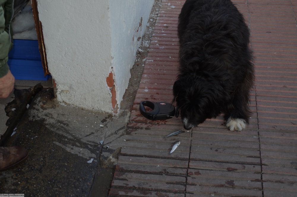 Fischmarkt Roses 3.jpg