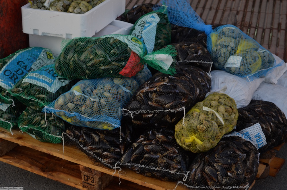 Fischmarkt Roses 2.jpg