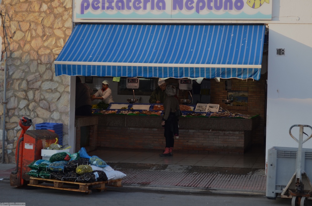 Fischmarkt Roses 1.jpg