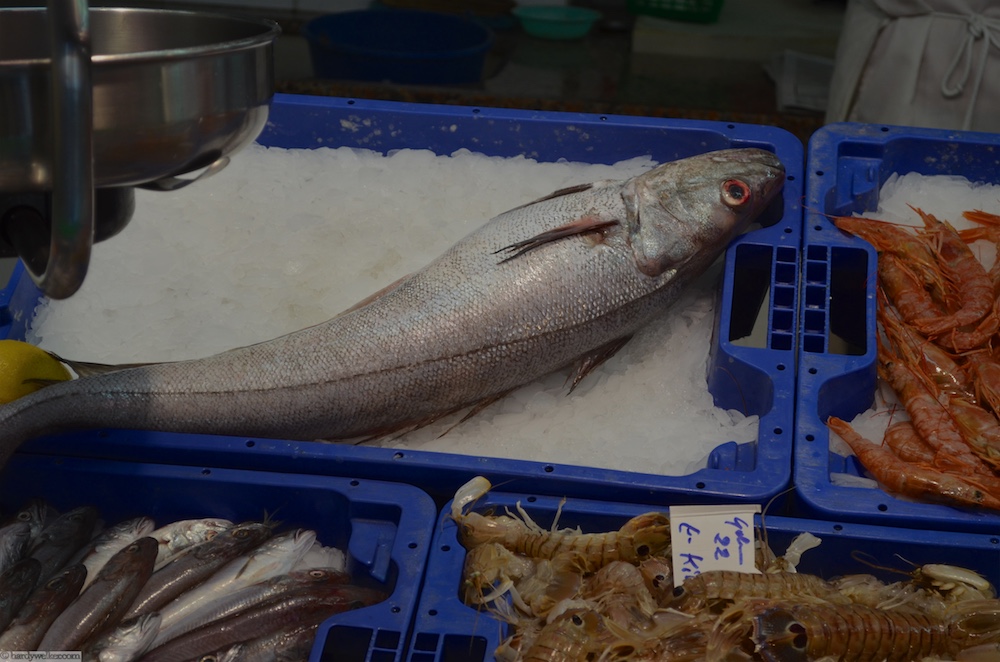 Keine Ahnung was das ist. In Norwegen würde ich sagen es ist ein Lumb oder Dorsch