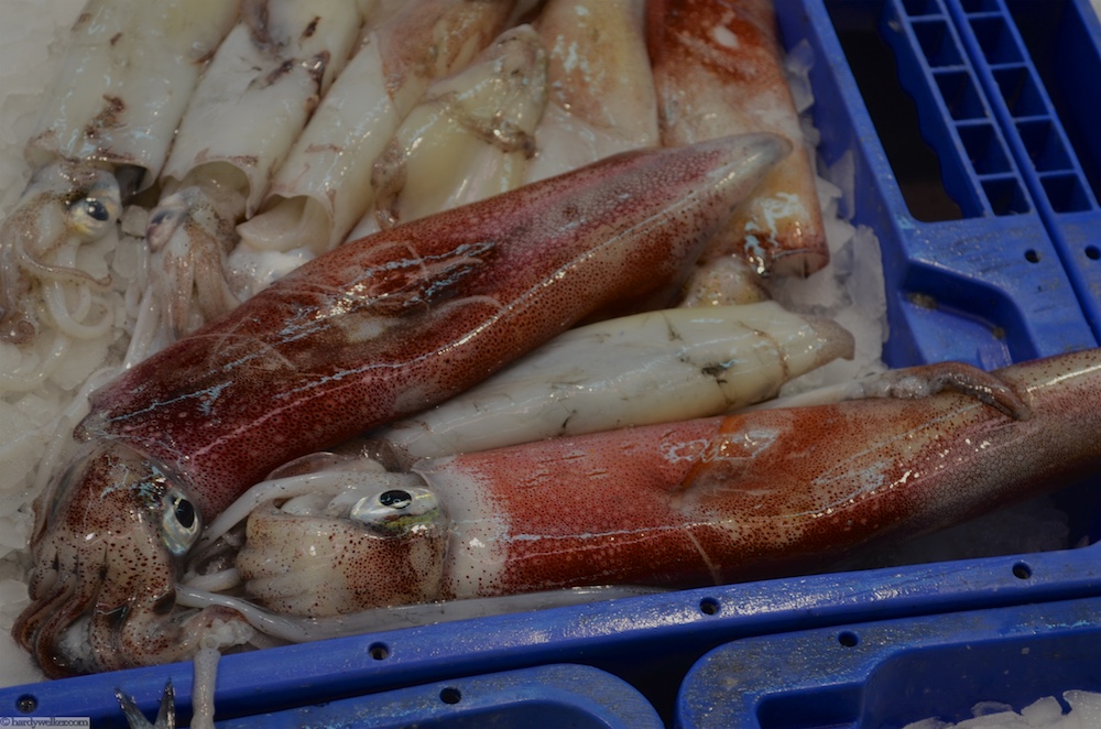 Oktopussies aus Kalamarien.  Ich weiß jetzt, warum die Oktopussie heißen. Das ist ein anderer Name für Seemannsbraut!  Wenn erst mal der Kopf und die Innereien weg sind....