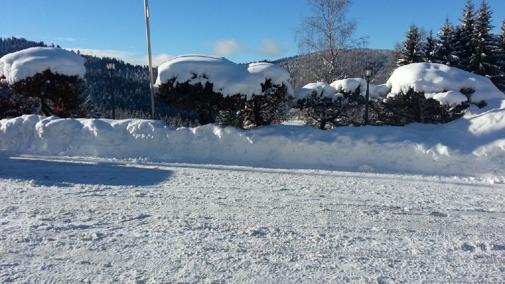 20160120_103508.jpg