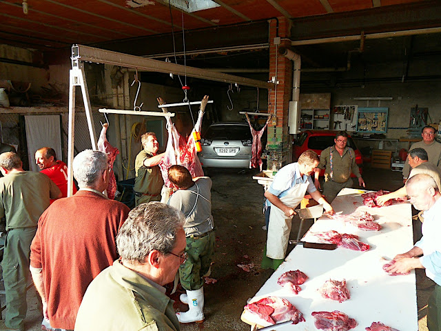 SDC11771.JPG