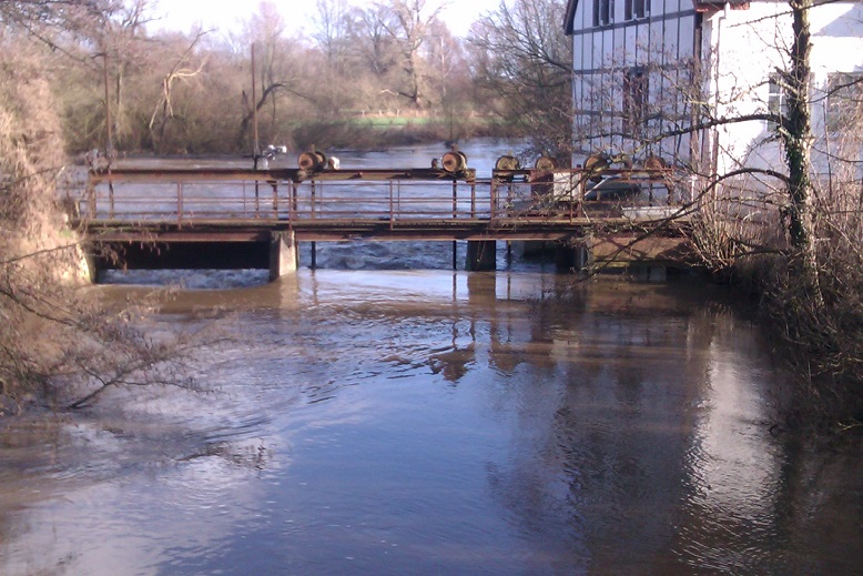 IMAG0024.jpg