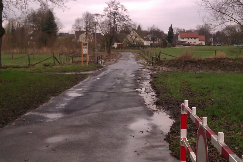 IMAG0029.jpg