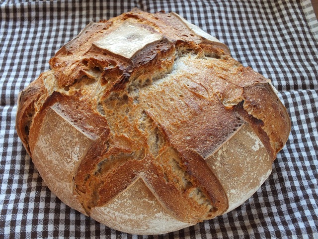 DSCF4523 - Kopie.JPG