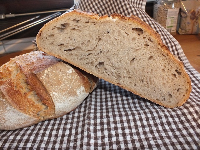DSCF4527 - Kopie.JPG