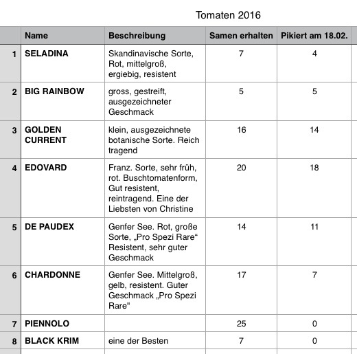 Tomaten 2016 pikiert.jpg