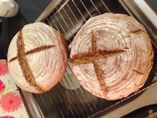 2x Kreuzerbrot nach Hardy, eines davon aber mit Röstzwiebeln