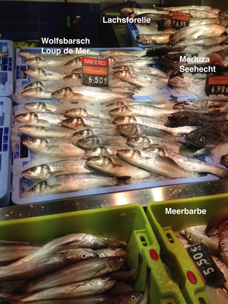 Fische Mercadona 3.jpg