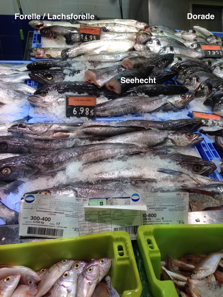 Fische Mercadona 4.jpg