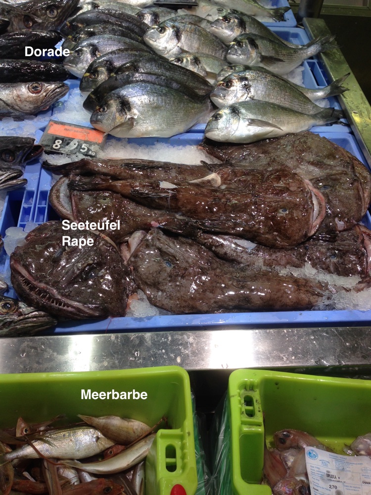 Fische Mercadona 5.jpg