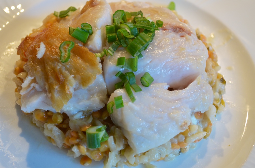 Viktoriabarsch auf Linsenrisotto 1000.jpg