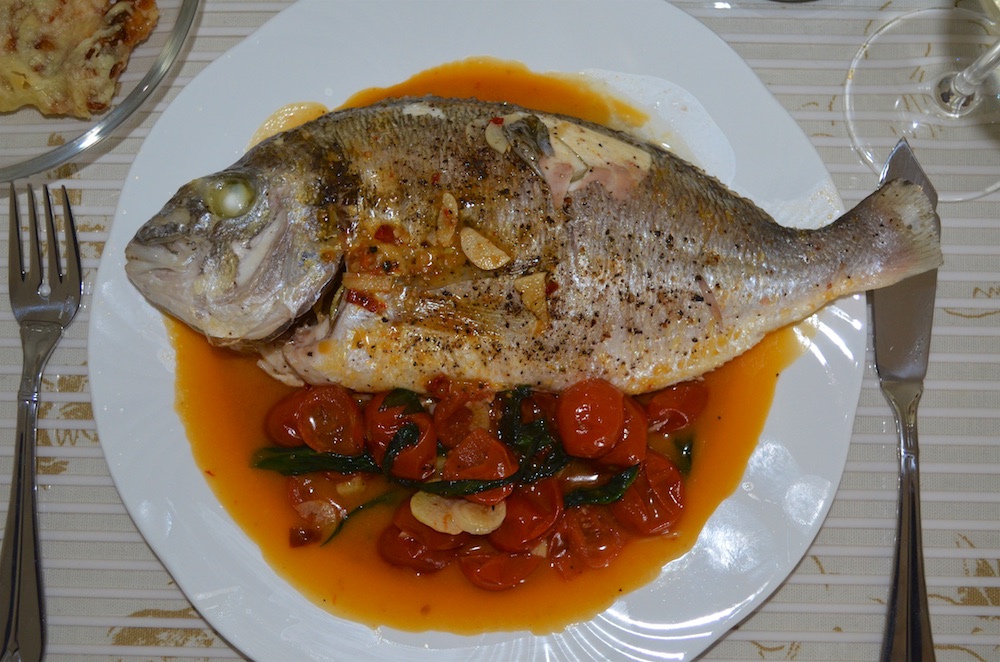 Karfreitagsdorade S 1.jpg