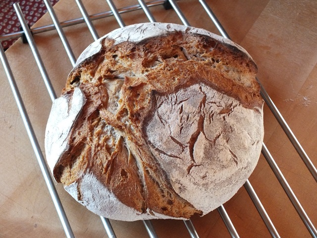 DSCF4653 - Kopie.JPG