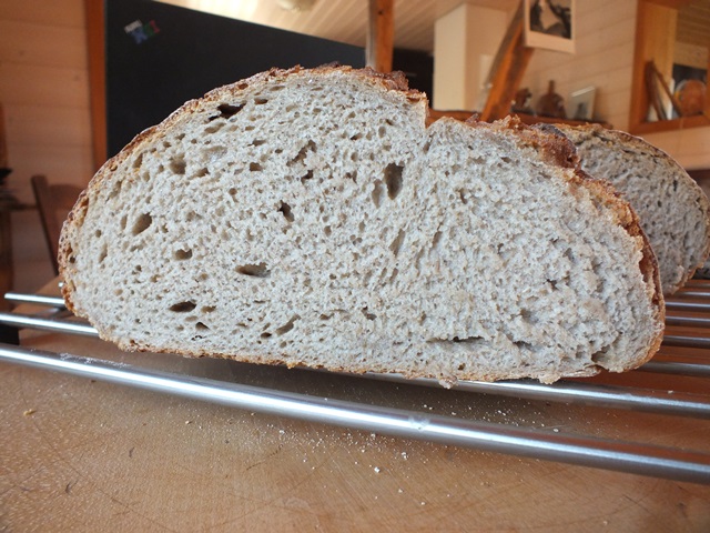 DSCF4660 - Kopie.JPG