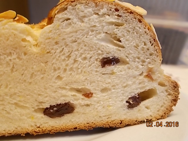 DSCN1513.JPG