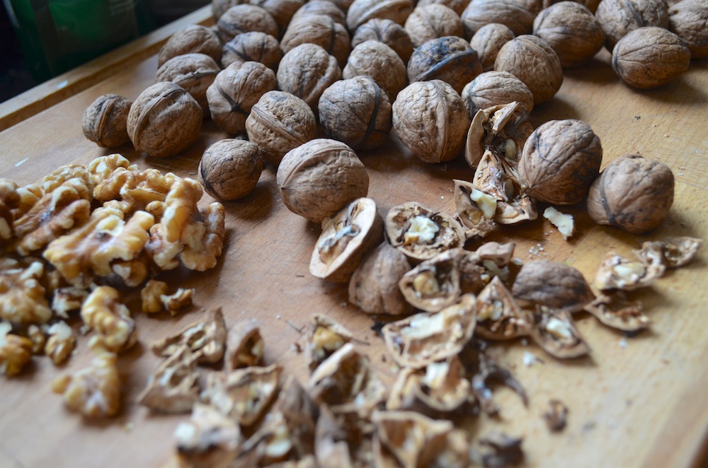 Walliser Nussbrot Versuch 1.jpg