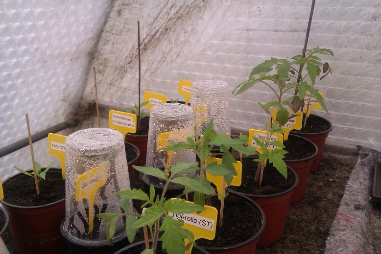 IMAG0055.jpg