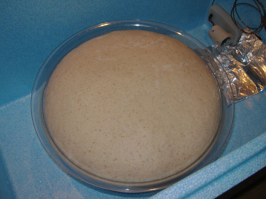 brot02.jpg