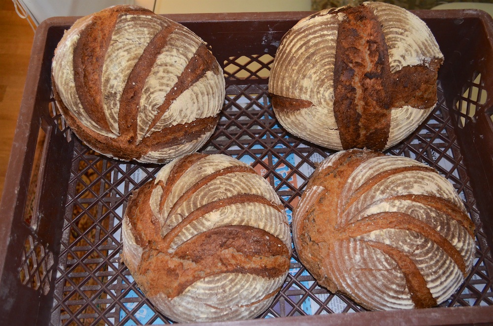 Backtag in Beeden 1.jpg